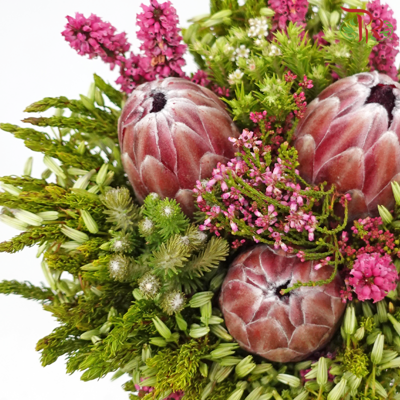 Safari Premium Bouquet - #16 (Per Bunch) **Random Cone/Fillers-Africa-prflorist.com.my