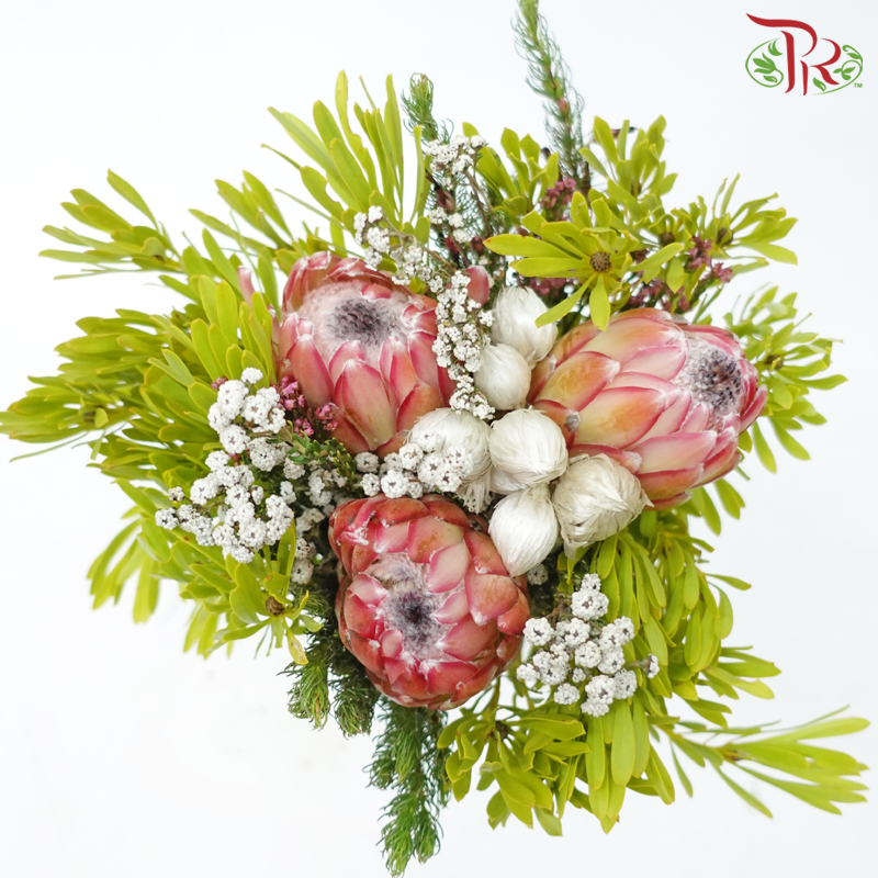 Safari Premium Bouquet - #18 (Per Bunch) **Random Cone/Fillers-Africa-prflorist.com.my