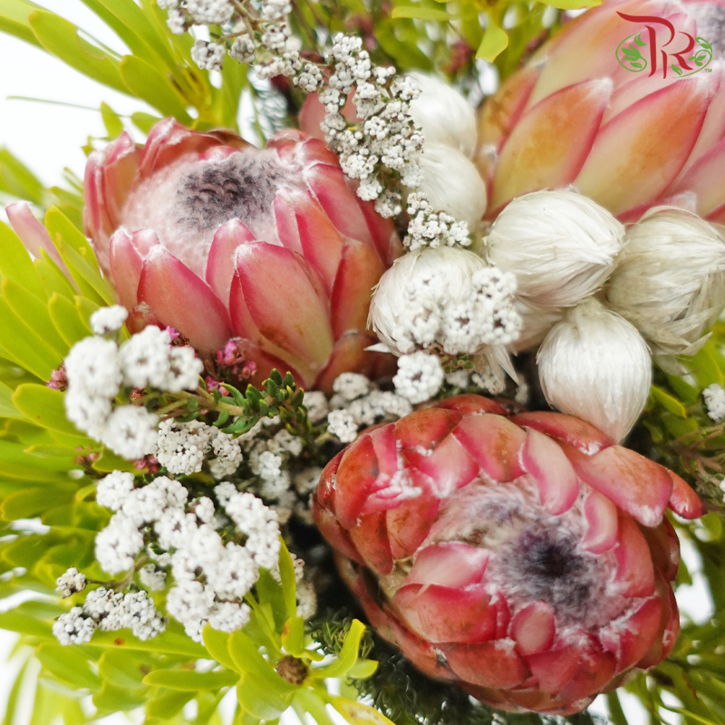 Safari Premium Bouquet - #18 (Per Bunch) **Random Cone/Fillers-Africa-prflorist.com.my