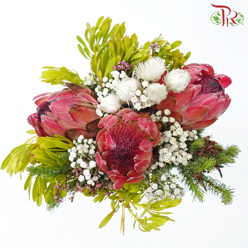 Safari Premium Bouquet - #19 (Per Bunch) ** Random Choose Cones / Fillers-Africa-prflorist.com.my