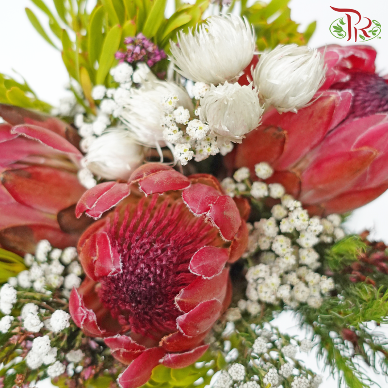 Safari Premium Bouquet - #19 (Per Bunch) ** Random Choose Cones / Fillers-Africa-prflorist.com.my