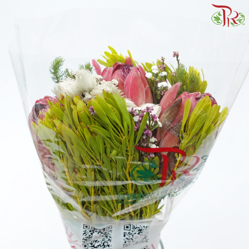 Safari Premium Bouquet - #19 (Per Bunch) ** Random Choose Cones / Fillers-Africa-prflorist.com.my