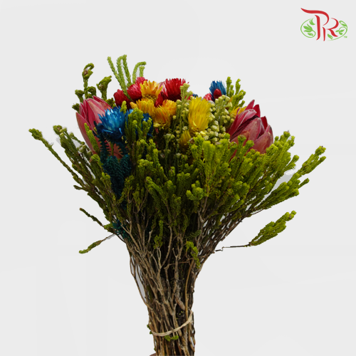 Safari Premium Bouquet ( Christmas Edition ) **Random Cone/Fillers