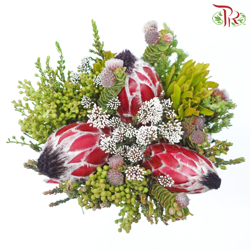 Safari Premium Bouquet - #21 (Per Bunch) **Random Cone/Fillers-Africa-prflorist.com.my