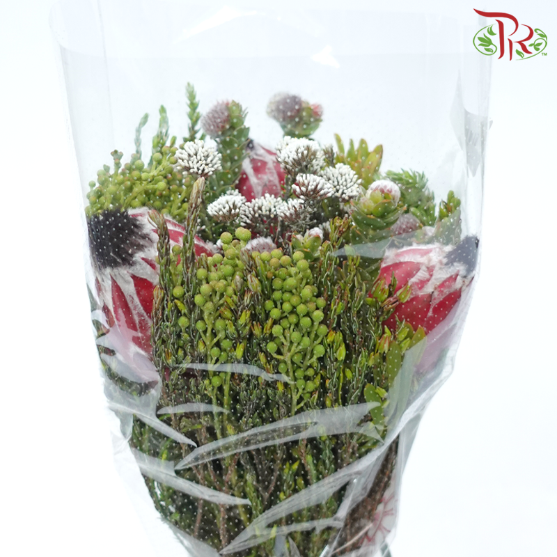 Safari Premium Bouquet - #21 (Per Bunch) **Random Cone/Fillers-Africa-prflorist.com.my