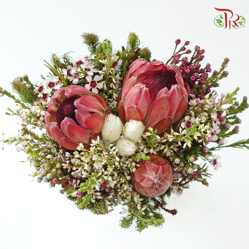 Safari Premium Bouquet - #23 (Pin Carousel / Hybrid)(Per Bunch) **Random Cone/Fillers-Africa-prflorist.com.my