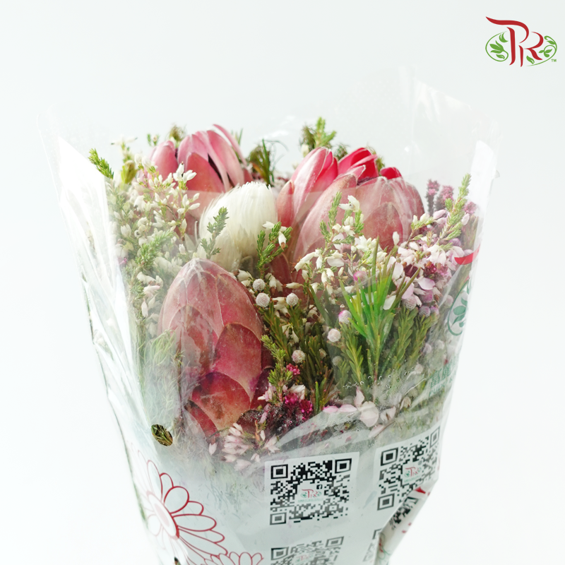 Safari Premium Bouquet - #23 (Pin Carousel / Hybrid)(Per Bunch) **Random Cone/Fillers-Africa-prflorist.com.my