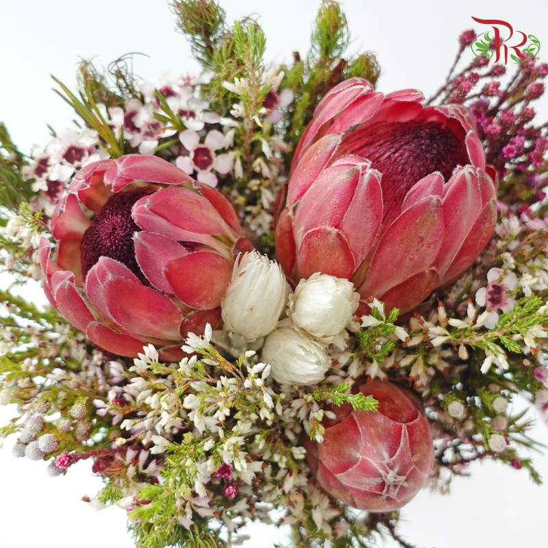 Safari Premium Bouquet - #23 (Pin Carousel / Hybrid)(Per Bunch) **Random Cone/Fillers-Africa-prflorist.com.my