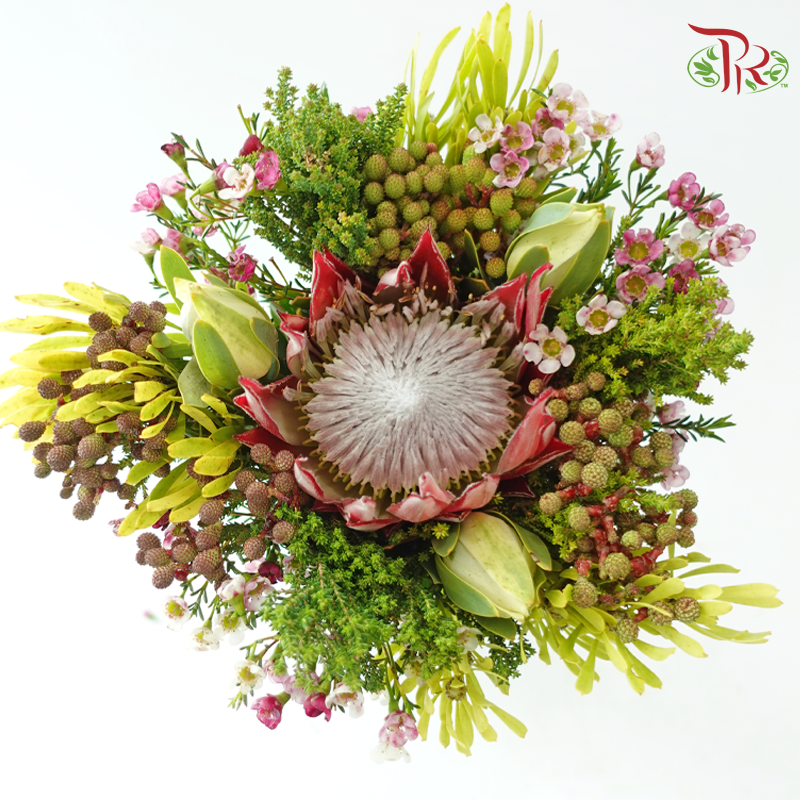 Safari Premium Bouquet - #24 (Pin Carousel / Hybrid)(Per Bunch) **Random Cone/Fillers-Africa-prflorist.com.my