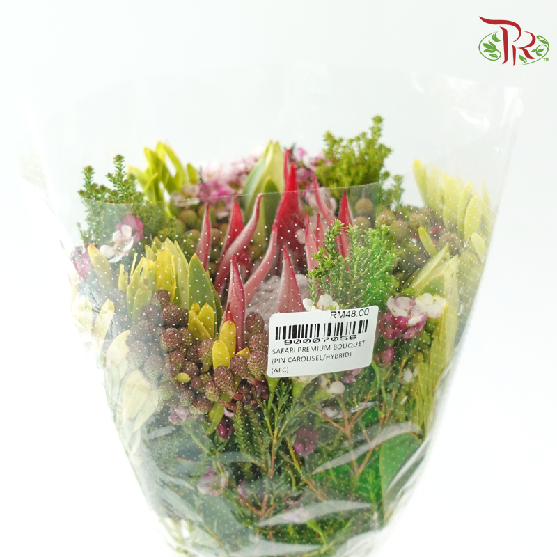 Safari Premium Bouquet - #24 (Pin Carousel / Hybrid)(Per Bunch) **Random Cone/Fillers-Africa-prflorist.com.my
