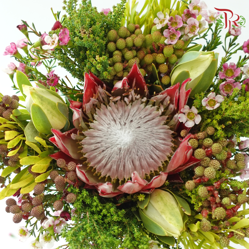 Safari Premium Bouquet - #24 (Pin Carousel / Hybrid)(Per Bunch) **Random Cone/Fillers-Africa-prflorist.com.my