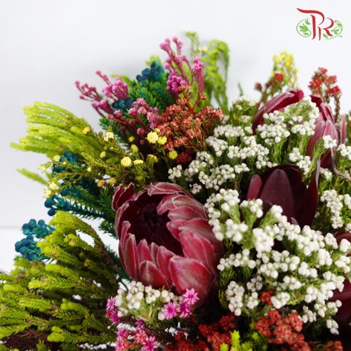 Safari Premium Bouquet - 3 (Per Bunch)-Pink-Africa-prflorist.com.my