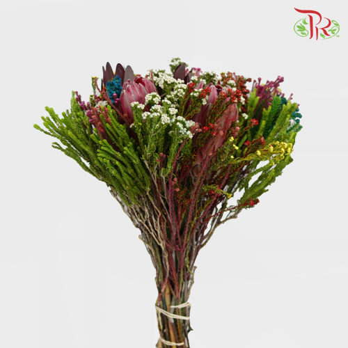 Safari Premium Bouquet - 3 (Per Bunch)-Pink-Africa-prflorist.com.my