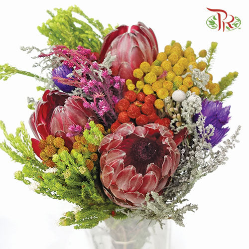 Safari Premium Bouquet - 3 Protea (Random Mix Cape Cone)-Pink-Africa-prflorist.com.my