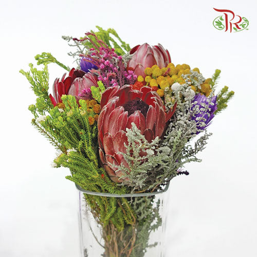 Safari Premium Bouquet - 3 Protea (Random Mix Cape Cone)-Pink-Africa-prflorist.com.my