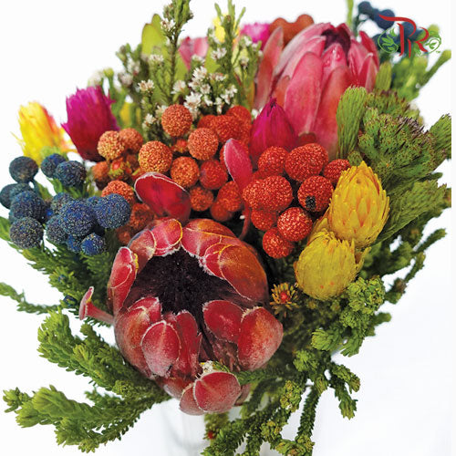 Safari Premium Bouquet - 6 (Per Bunch)-Africa-prflorist.com.my