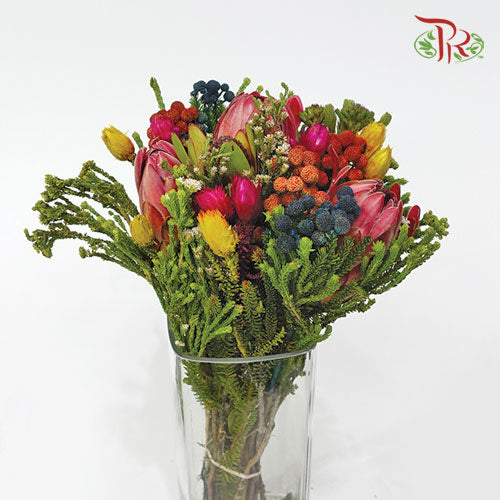 Safari Premium Bouquet - 6 (Per Bunch)-Africa-prflorist.com.my