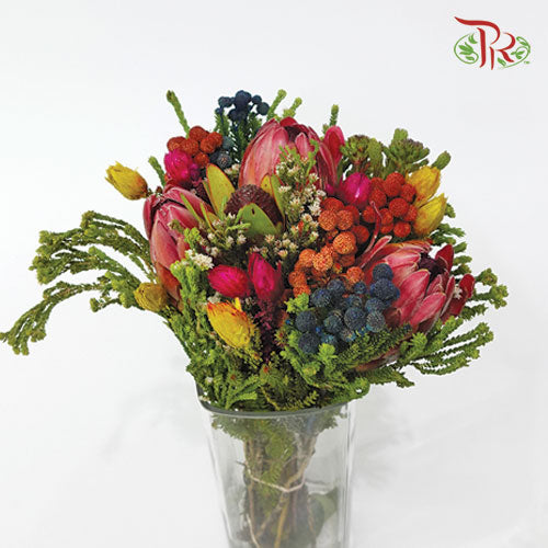 Safari Premium Bouquet - 6 (Per Bunch)-Africa-prflorist.com.my