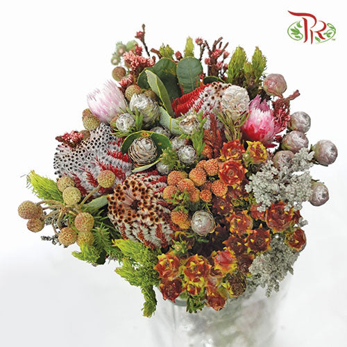 Safari Premium Bouquet - #8 (Per Bunch) **Random Cone/Fillers-Africa-prflorist.com.my