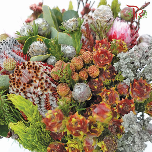 Safari Premium Bouquet - #8 (Per Bunch) **Random Cone/Fillers-Africa-prflorist.com.my
