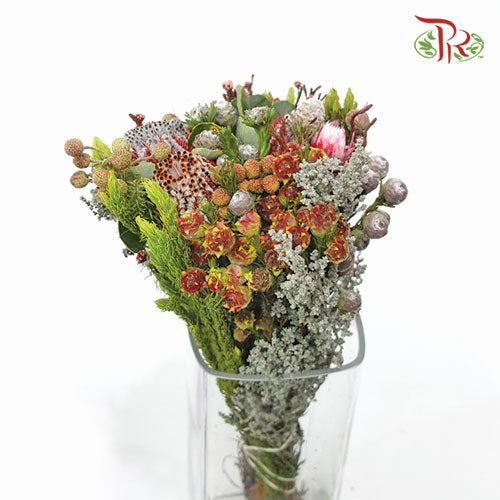 Safari Premium Bouquet - #8 (Per Bunch) **Random Cone/Fillers-Africa-prflorist.com.my