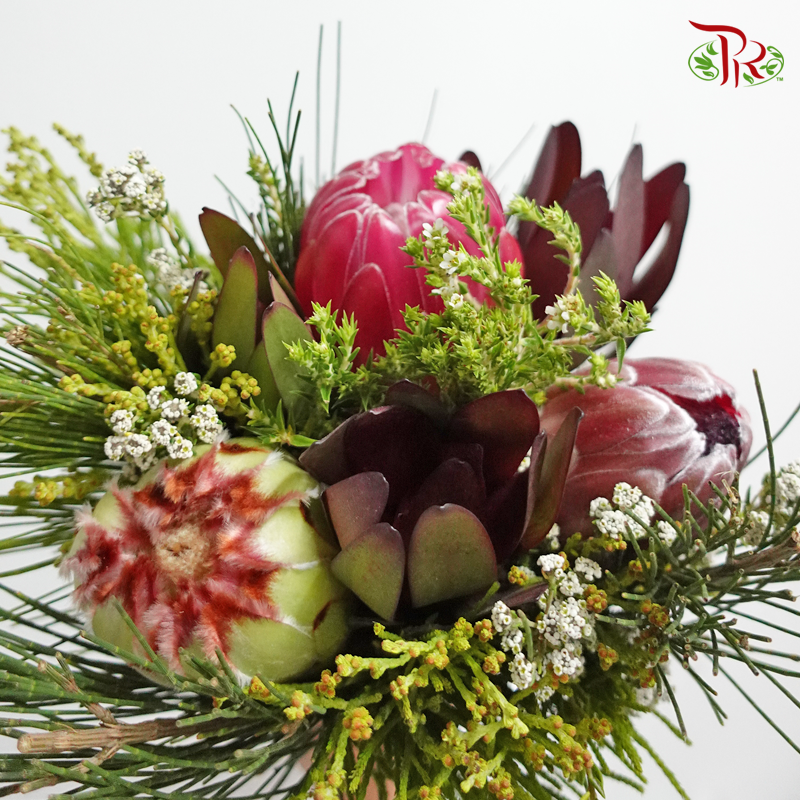 Safari Premium Bouquet - #9 (Per Bunch) **Random Cone/Fillers-Africa-prflorist.com.my