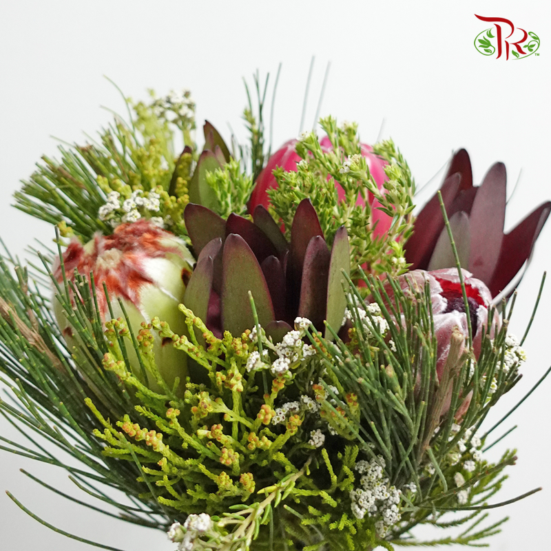 Safari Premium Bouquet - #9 (Per Bunch) **Random Cone/Fillers-Africa-prflorist.com.my
