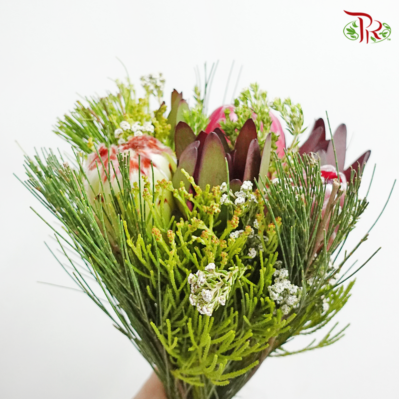 Safari Premium Bouquet - #9 (Per Bunch) **Random Cone/Fillers-Africa-prflorist.com.my