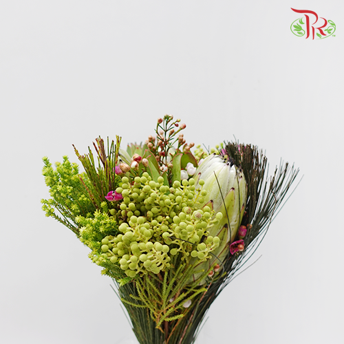 Safari Premium Bouquet - Green White Protea (Per Bunch) **Random Cone/Fillers-Green-Africa-prflorist.com.my