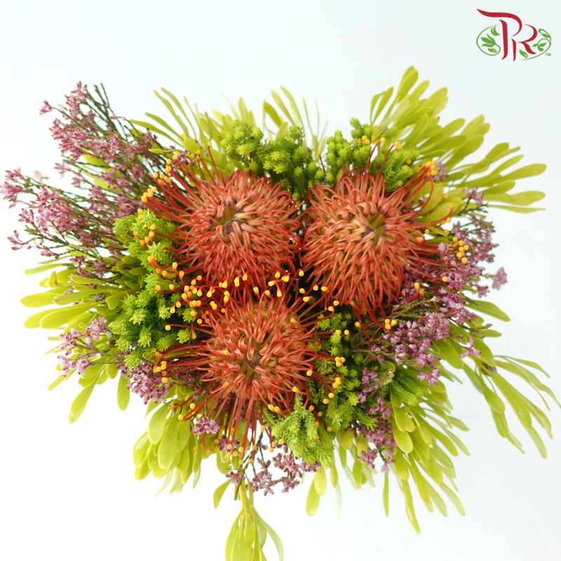 Safari Premium Bouquet ( Christmas Edition ) **Random Cone/Fillers