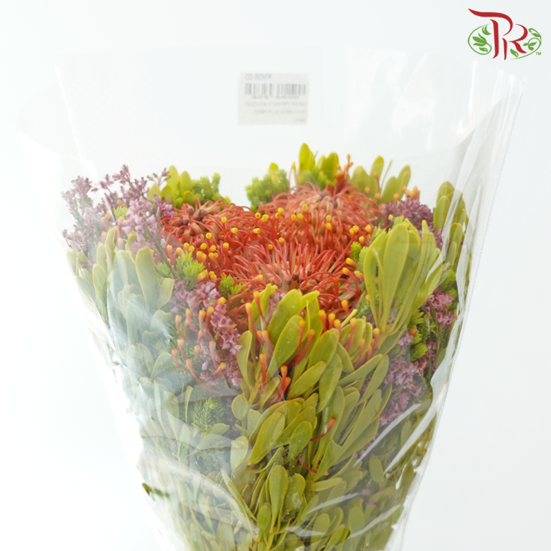 Safari Premium Bouquet ( Christmas Edition ) **Random Cone/Fillers