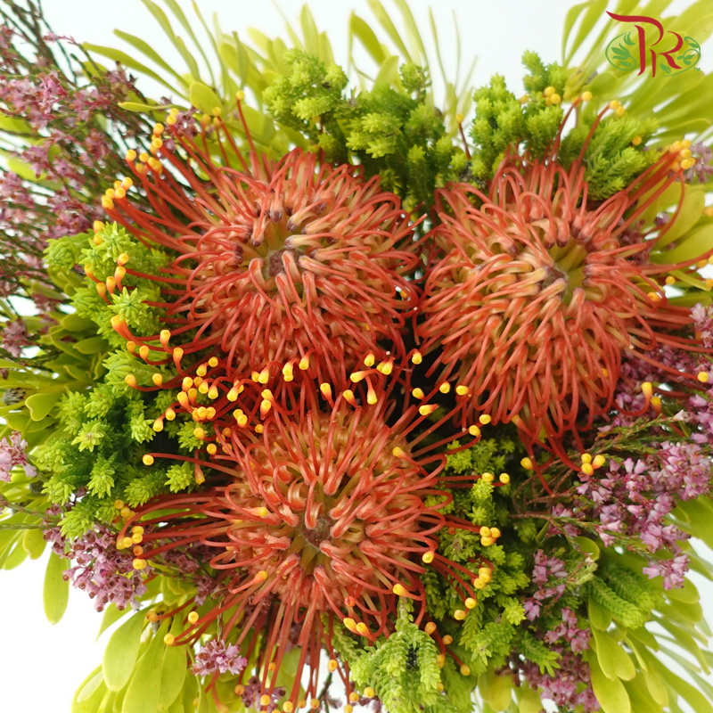 Safari Premium Bouquet - Pin Carousel / Hybrid #22 (Per Bunch) **Random Cone/Fillers-Africa-prflorist.com.my