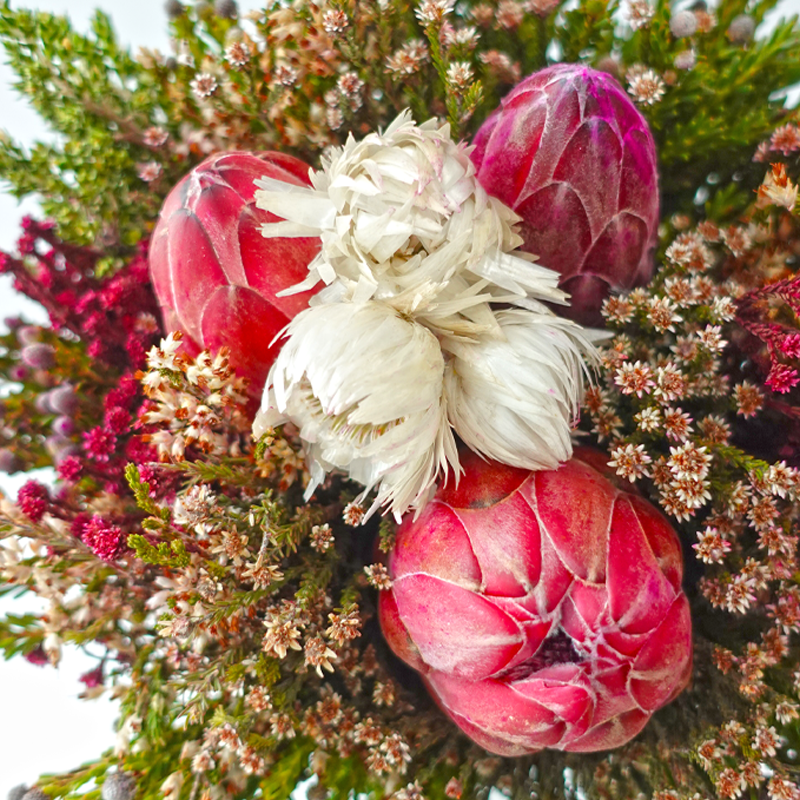 Safari Premium Bouquet - Pin Carousel / Hybrid #26 (Per Bunch) **Random Cone/Fillers-Africa-prflorist.com.my