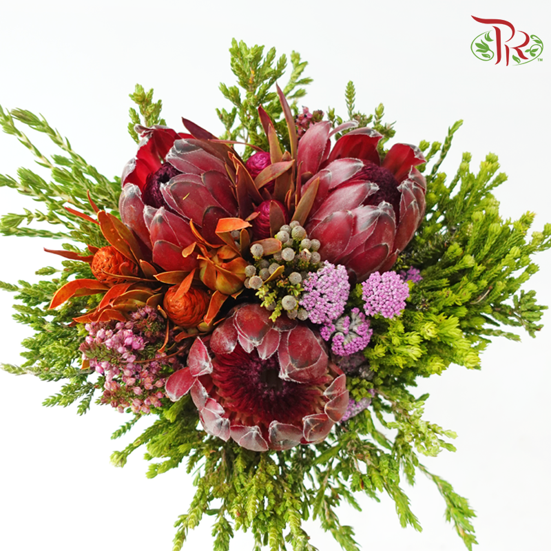 Safari Premium Bouquet - Pin Carousel / Hybrid #27 (Per Bunch) **Random Cone/Fillers-Africa-prflorist.com.my