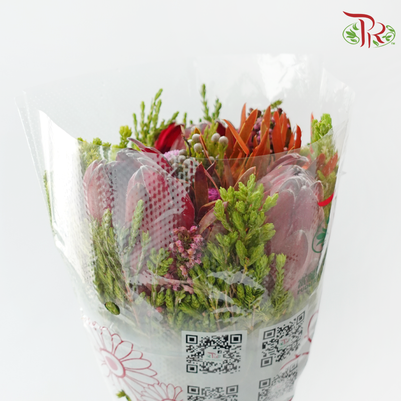 Safari Premium Bouquet - Pin Carousel / Hybrid #27 (Per Bunch) **Random Cone/Fillers-Africa-prflorist.com.my