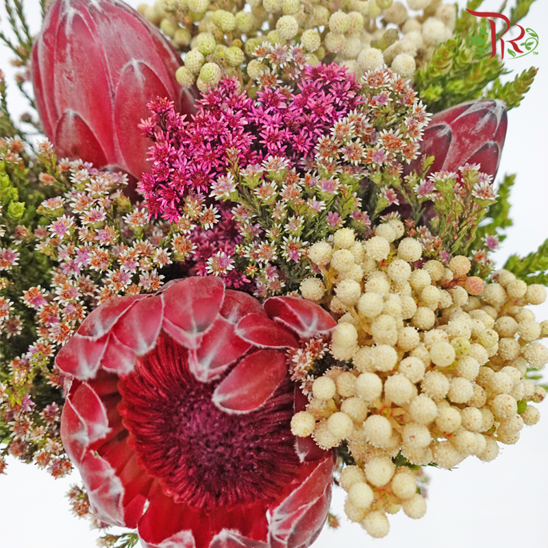 Safari Premium Bouquet Protea With Lanu - (Per Bunch) **Random Cone/Fillers-Africa-prflorist.com.my