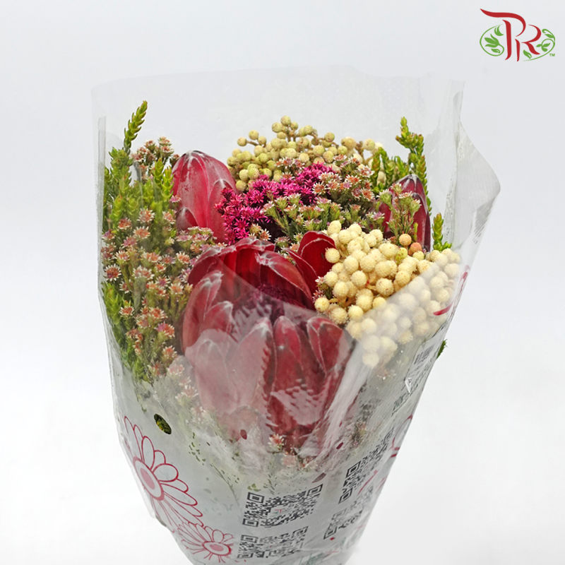 Safari Premium Bouquet Protea With Lanu - (Per Bunch) **Random Cone/Fillers-Africa-prflorist.com.my