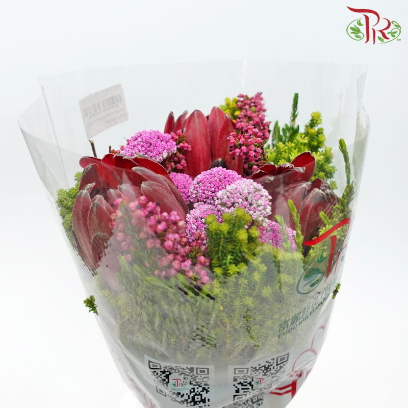 Safari Premium Bouquet - Protea With Metalasia (Per Bunch) **Random Cone/Fillers-Africa-prflorist.com.my