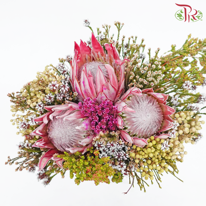 Safari Premium Bouquet - Protea With Random Mix Cape Cone (Per Bunch) **Random Cone/Fillers-Africa-prflorist.com.my