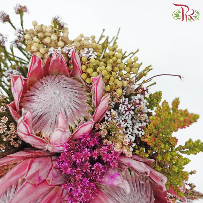 Safari Premium Bouquet - Protea With Random Mix Cape Cone (Per Bunch) **Random Cone/Fillers-Africa-prflorist.com.my