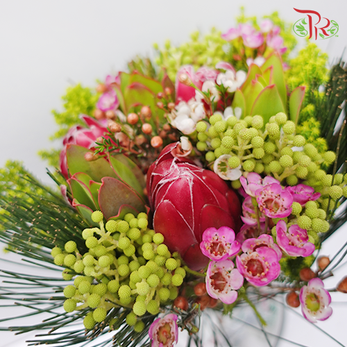 Safari Premium Bouquet - Red (Per Bunch) **Random Cone/Fillers-Red-Africa-prflorist.com.my