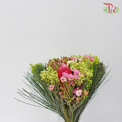 Safari Premium Bouquet - Red (Per Bunch) **Random Cone/Fillers-Red-Africa-prflorist.com.my