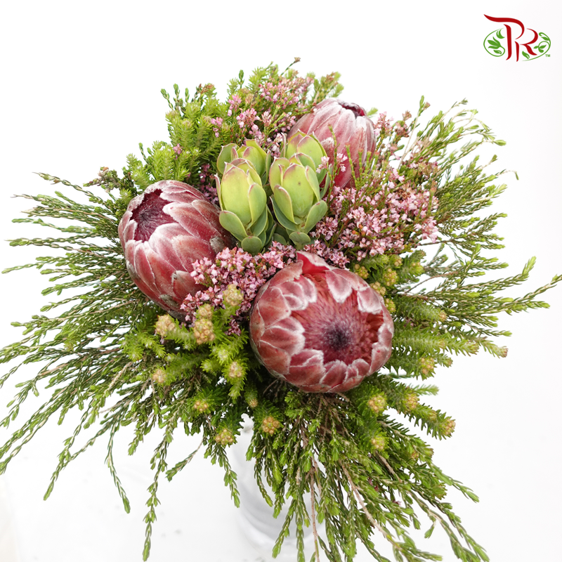 Safari Premium Bouquet With Protea - 14 (Per Bunch)-Pink-Africa-prflorist.com.my
