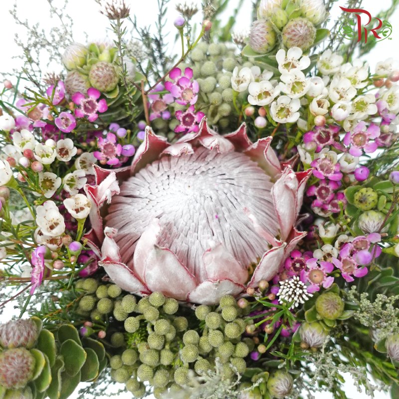 Safari Protea King Bouquet - (Per Bunch) **Random Cone/Fillers-Africa-prflorist.com.my