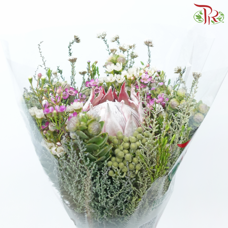 Safari Protea King Bouquet - (Per Bunch) **Random Cone/Fillers-Africa-prflorist.com.my