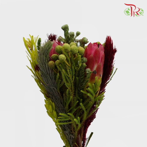 Safari River Mix - #2 (Per Bunch) **Random Cone/Fillers-Pink-Africa-prflorist.com.my