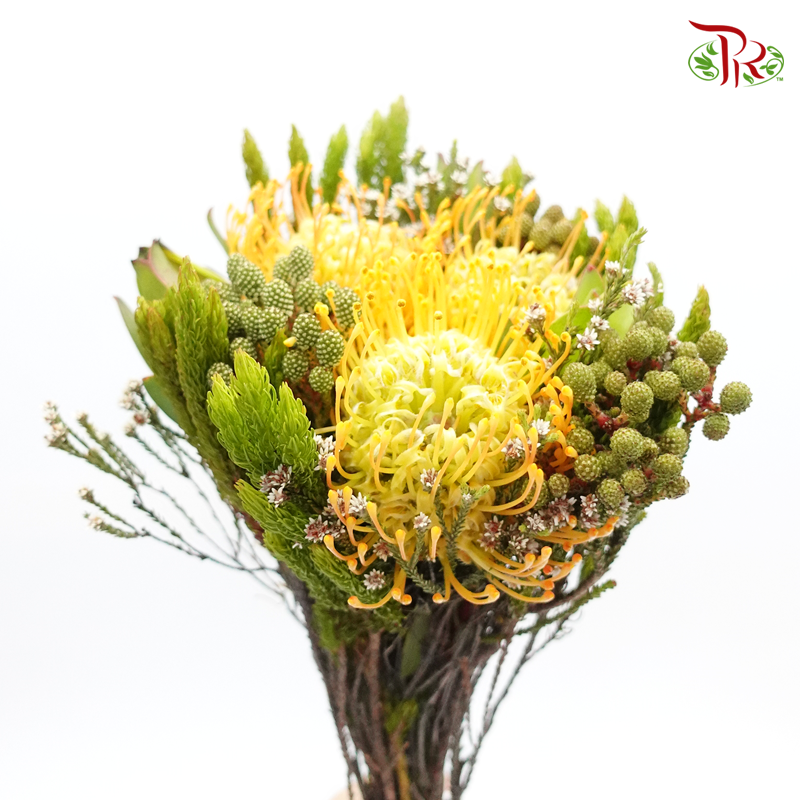 Safari Leucospermum - (Per Bunch) - Pudu Ria Florist