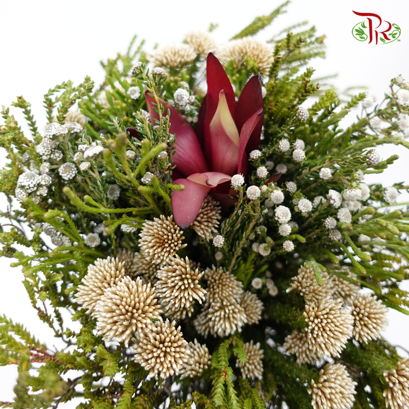 Safari Mix (Cone/Cape) Bouquet 14 - (Per Bunch) - Pudu Ria Florist