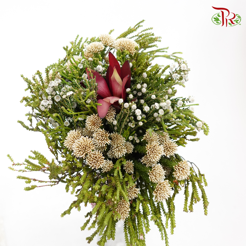 Safari Mix (Cone/Cape) Bouquet 14 - (Per Bunch) - Pudu Ria Florist
