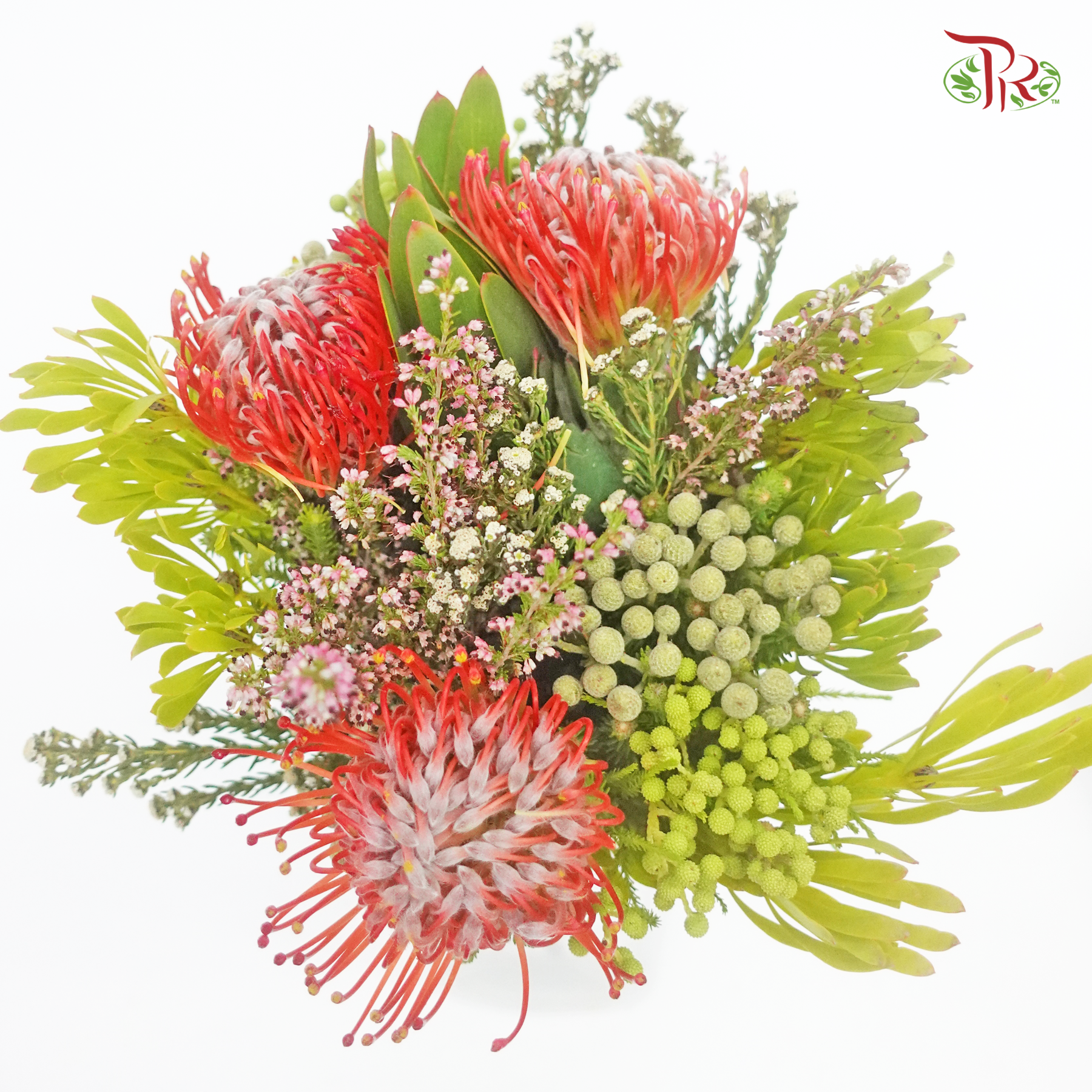 Safari Premium Bouquet - 10 (Per Bunch) - Pudu Ria Florist